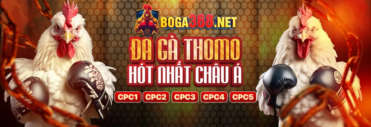 Quản Lý Vốn Bắn Cá